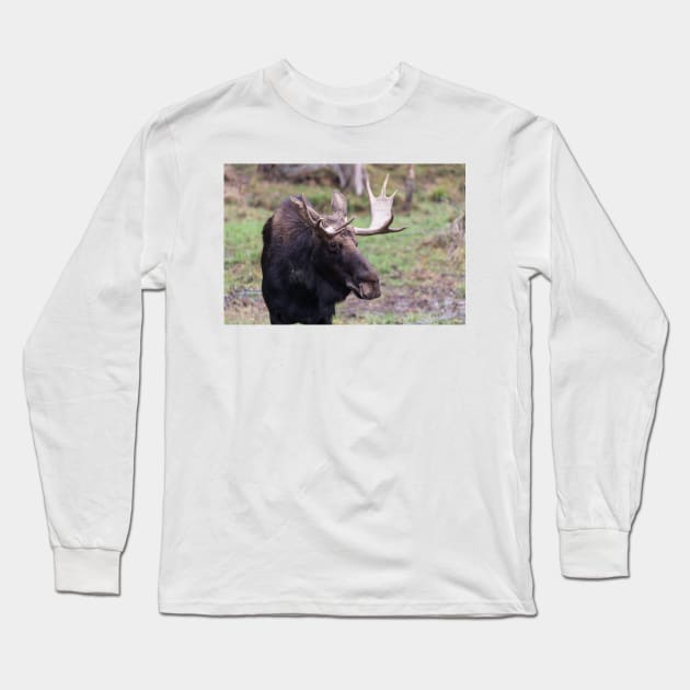 Large moose in a forest Long Sleeve T-Shirt by josefpittner